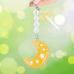 Resin & Plastic Mobile Pendant Decoration&nbsp;HJEW-AB00621