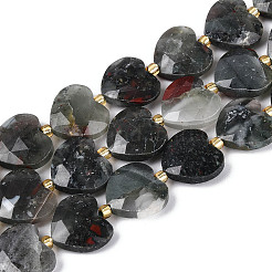 Natural African Bloodstone Beads Strands&nbsp;G-P592-B07-01
