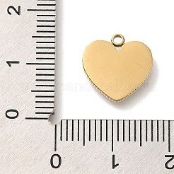 PVD Vacuum Plating 304 Stainless Steel Charms&nbsp;STAS-S148-10G