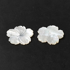 Natural White Shell Beads&nbsp;SHEL-M021-08B