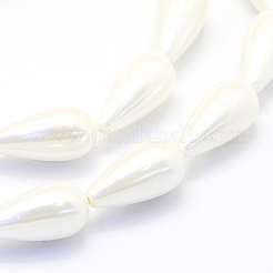 Shell Pearl Beads Strands&nbsp;BSHE-P024-06