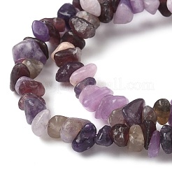 Natural Lepidolite/Purple Mica Stone Beads Strands&nbsp;G-Z081-A01