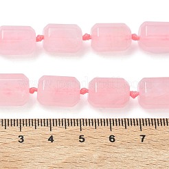 Natural Rose Quartz Beads Strands&nbsp;G-C270-N01