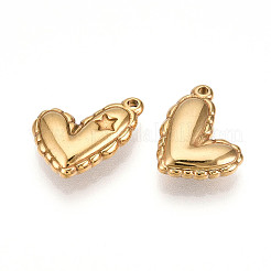 304 Stainless Steel Pendants&nbsp;STAS-N109-117G