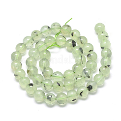 Natural Prehnite Beads Strands&nbsp;G-R446-8mm-16