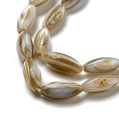 Natural Freshwater Shell Beads Strands&nbsp;SHEL-C005-04
