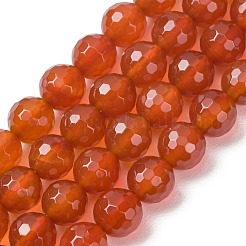 Natural Carnelian Beads Strands&nbsp;G-C280-B10-8mm