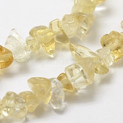 Natural Citrine Beads Strands&nbsp;G-F328-13