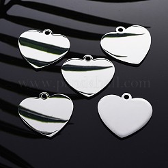 Tarnish Resistant 304 Stainless Steel Pendants&nbsp;STAS-I140-10B-S
