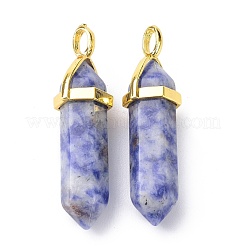 Natural Blue Spot Jasper Pointed Pendants&nbsp;G-G025-01G-07