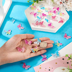 32Pcs 4 Colors Butterfly Transparent Resin Cabochons&nbsp;RESI-TA0004-44