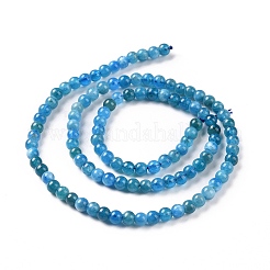 Natural Apatite Beads Strands&nbsp;G-D856-01-4mm-A