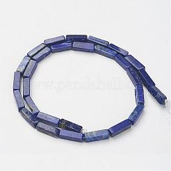 Natural Lapis Lazuli Beads Strands&nbsp;G-G968-D03