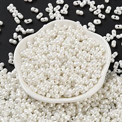 Glass Seed Beads&nbsp;SEED-L011-04A-21