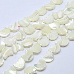 Natural White Shell Beads Strands&nbsp;SSHEL-12X11