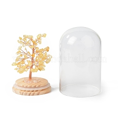 Natural Yellow Quartz Chips Money Tree in Dome Glass Bell Jars with Wood Base Display Decorations&nbsp;DJEW-B007-04F