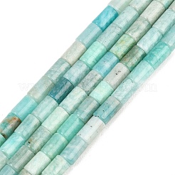 Natural Amazonite Beads Strands&nbsp;G-F832-B07-01