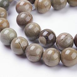 Natural Silver Leaf Jasper Beads Strands&nbsp;G-F520-45-6mm