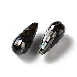 Natural Black Lip Shell Beads&nbsp;SSHEL-B002-10B-01