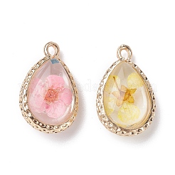 Glass Dried Flower Pendants&nbsp;RESI-F030-23