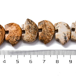 Natural Picture Jasper Beads Strands&nbsp;G-F783-G03-01
