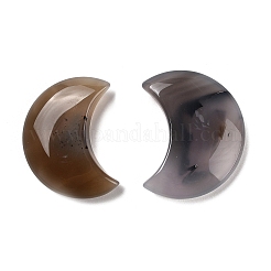 Natural Dendritic Agate Cabochons&nbsp;G-R493-01