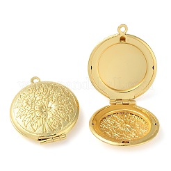 Rack Plating Brass Locket Pendants&nbsp;KK-M269-09G