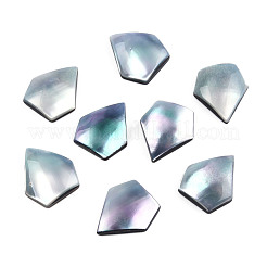 Natural Turbo Cornulus/Top Shells Cabochons&nbsp;SSHEL-N003-155A