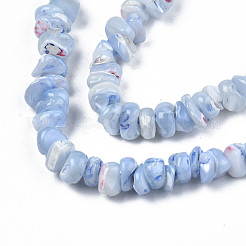 Natural Freshwater Shell Beads Strands&nbsp;SHEL-N003-23-B02