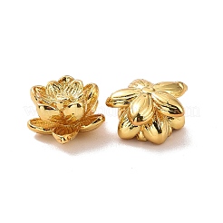 Eco-friendly Brass Beads&nbsp;LS-KK-D079-08G