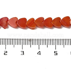 Handmade Lampwork Beads Strands&nbsp;LAMP-Q035-01J
