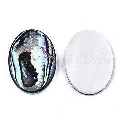 Natural Abalone Shell/Paua Shell Cabochons&nbsp;SSHEL-N034-73B-01