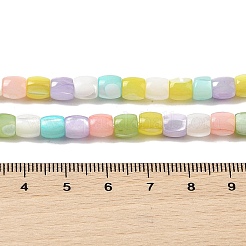 Natural Trochid Shell/Trochus Shell Beads Strands&nbsp;BSHE-H018-05