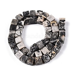 Natural Map Stone Beads Strands&nbsp;G-T139-8x8-20A