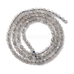 Natural Labradorite Beads Strands&nbsp;G-A276-A02-3mm