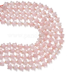 Natural Rose Quartz Beads Strands&nbsp;G-L657-A06-01