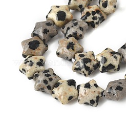 Natural Dalmatian Jasper Star Beads Strands&nbsp;G-Z080-A08