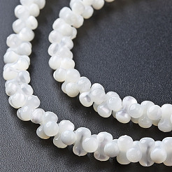 Natural Trochid Shell/Trochus Shell Bead Strands&nbsp;SSHEL-N034-104-B01