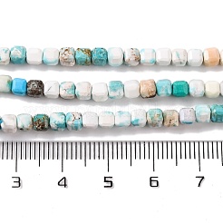 Natural Howlite Beads Strands&nbsp;G-G001-A03-08