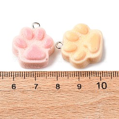 Opaque Resin Pendants&nbsp;RESI-K048-06
