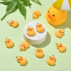 20Pcs Cartoon Opaque Resin Pendants&nbsp;RESI-CJ0003-73
