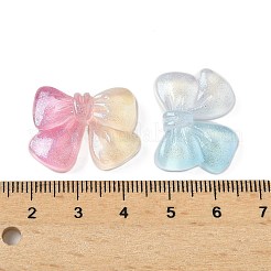 Transparent Resin Cabochons&nbsp;RESI-F056-02