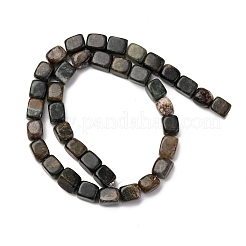 Natural Biotite Beads Strands&nbsp;G-B155-D05