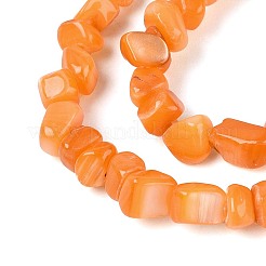 Natural Freshwater Shell Beads Strands&nbsp;SHEL-N037-04F