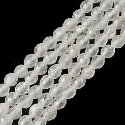 Natural Quartz Crystal Beads Strands&nbsp;G-K376-F01-01