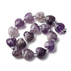 Natural Amethyst Beads Strands&nbsp;G-P570-E17-01