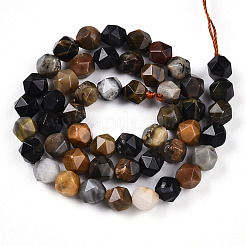 Natural Petrified Wood Beads Strands&nbsp;G-T139-8mm-52