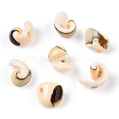 Natural Sea Shell Beads Strands&nbsp;BSHE-E026-14
