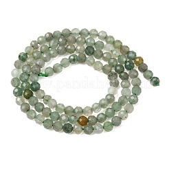 Natural African Jade Beads Strands&nbsp;G-K366-C03-4mm
