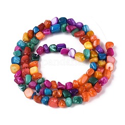 Natural Freshwater Shell Beads Strands&nbsp;SHEL-N037-04B